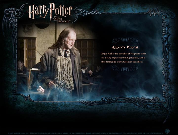 Character Profile - Character-Profile-harry-potter-130078_1050_800.jpg