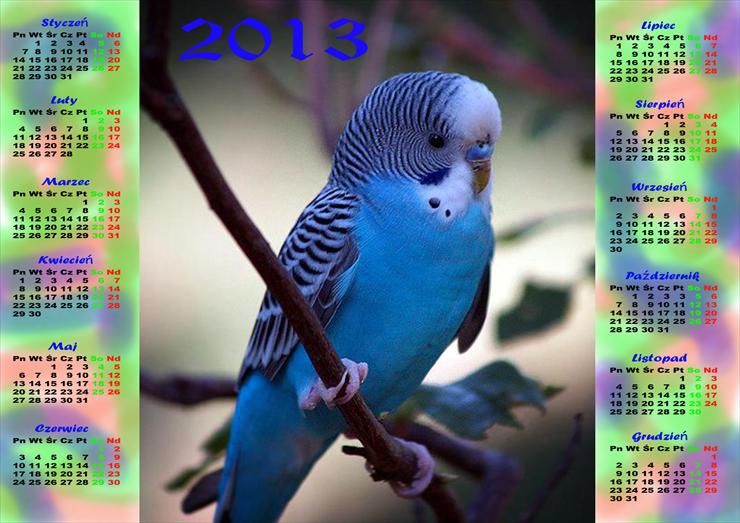 Kalendarz-2013 - 2013,2.png