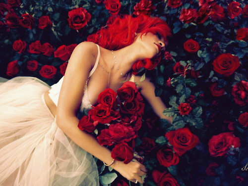 Ona i róża - tumblr_lbt0ddgvc91qzclrjo1_500.png