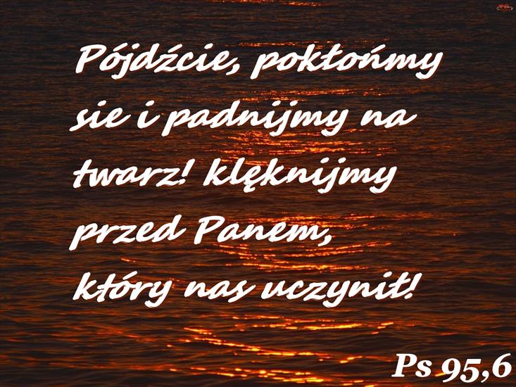 Tapety ze Słowem Bożym - Ps 95,6.jpg