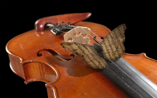 Skrzypce - on the violin.jpg