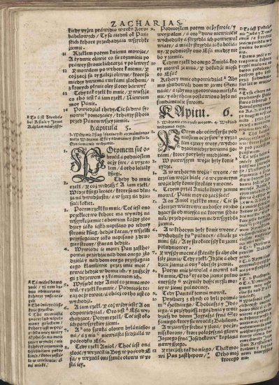 Biblia Brzeska 1563 Color 2000p JPGs - Biblia Brzeska 981.jpg