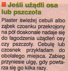 Domowe leczenie1 - użądlenie pszczoły.jpg