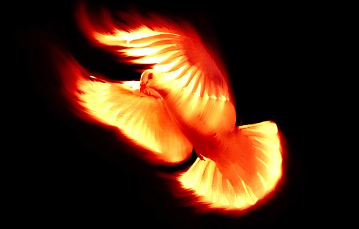 7 Darów Ducha Świętego - Duch Boży-Święty.png