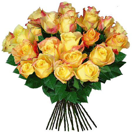 kwiaty   róże - ruze55.gif