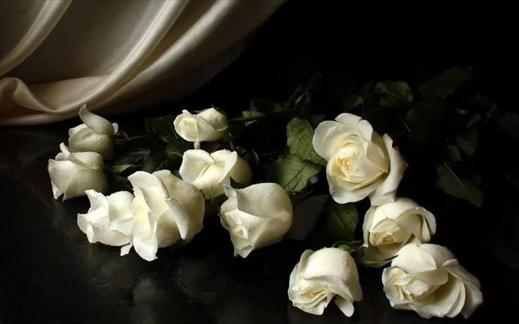 kwiaty inaczej - white-roses.jpg