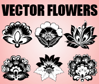 Ornamenty kwiatowe 1 - vector flowers collection.png