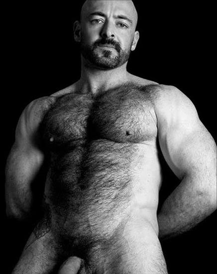 Bear1 - hothairymen.blogspot.com-307.jpg