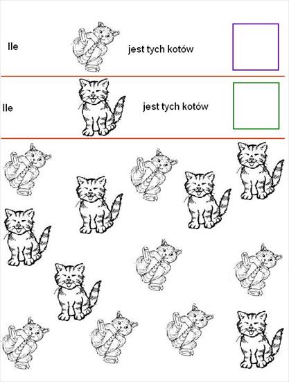 ćwiczymy spostrzegawczość - koty.JPG