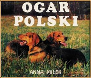Ogar Polski - Anna Miłek - image008.jpg