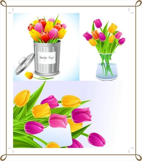 Wiosenne kwiaty_____ - tulips8.jpg