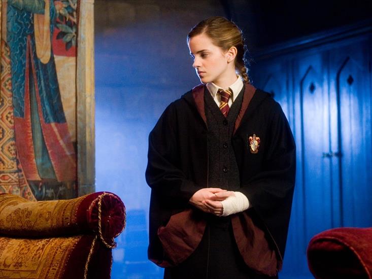 Harry Potter - Hermione-Granger 7.jpg