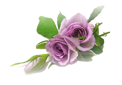 Gify róża róże - Mieciunia-jedyna0101.png